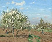 Camille Pissarro Orchard in  Bloom,Louveciennes (nn02) France oil painting artist